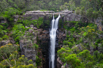 Carington Falls surrounded by green trees, NSW, Australia.