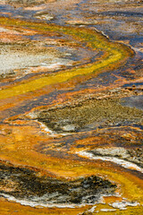 Stream of Colorful Runoff from Hot Spring