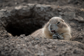 Is there something in my teeth