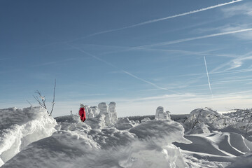 Fototapeta premium einsam im Schnee