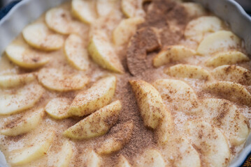 Freshly baked Apple pie on the table with apples, piece in plate on dark table background, autumn apples, wood background