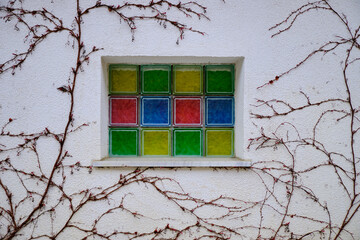 multicoloured square window in concrete wall covered in leafless vines