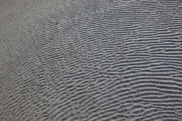 砂浜に残った砂紋	