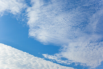 秋の空の白い雲	