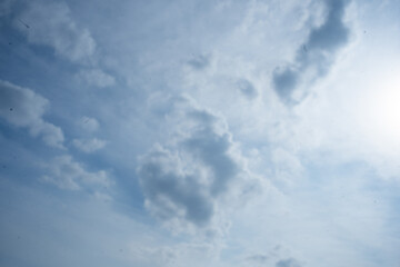 Obraz premium 夏空
