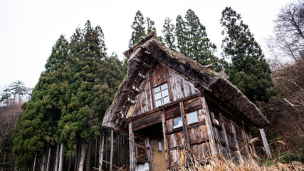 Fototapeta na wymiar japanese old house in the forest