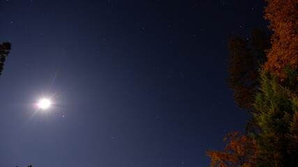 Naklejka premium night sky with stars