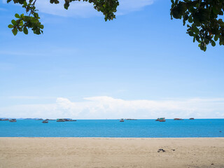 ฺBue ocean and beach with blue sky and leave Samanea saman. for article  travel summer holidays. Sea pattaya thailand concept.