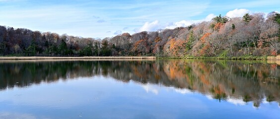 晩秋の八幡平大沼のパノラマ紅葉情景＠秋田