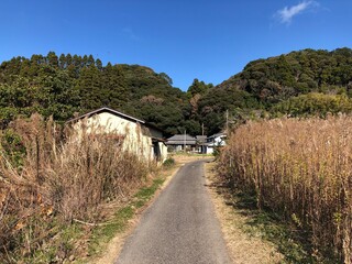 Abandoned farmhouses in the Japanese countryside, as the population gets older and older more homes are getting left unattended and starting to rust and fall apart. They are still beautiful.