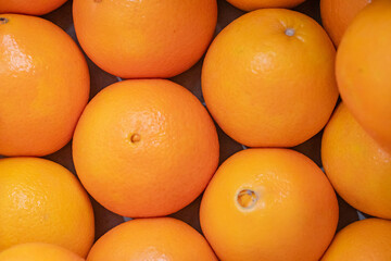 oranges at the market