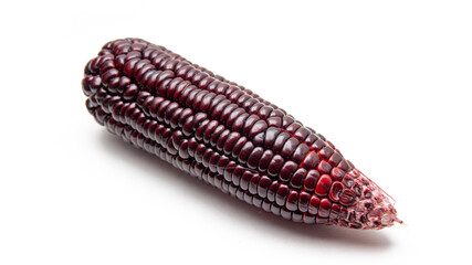 Close up of ripe purple corn on isolated white background. It is a variety of flint maize originating from South America.