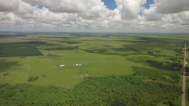Aerial shot of a green savanna and a group of trees with beautiful scattered clouds in the sky