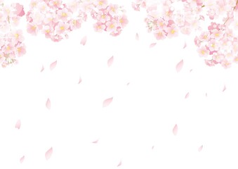 Obraz na płótnie Canvas 桜の背景05