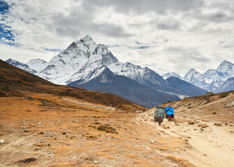 Fototapeta na wymiar Life Saver of Everest Regions