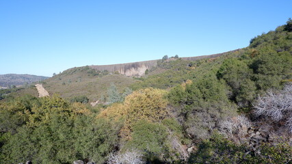 Autumn in the mountains and trees