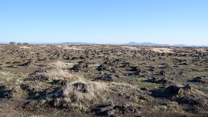 Autumn in the mountains and trees