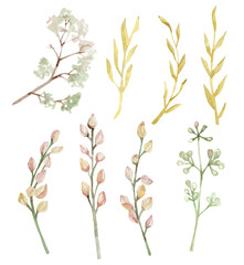 Fototapeta na wymiar Watercolor wild floral branch and leaves, flowers and golden twigs. Botanical floral for greeting card, wedding card, bridal card.