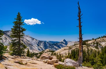 Foto op Canvas half dome from olmstead point yosemite national park © Scott Bufkin