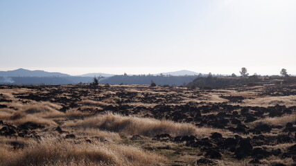 Autumn in the mountains and trees