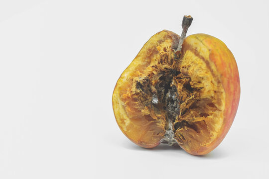 Rotten Apple On White Background