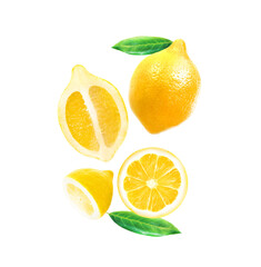 Fototapeta premium Photo bright of a yellow lemon isolated