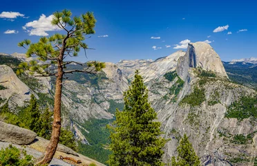 Fototapete Yosemite Valley und Half Dome © Scott Bufkin