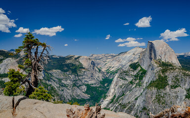 half dome with tree and clouds