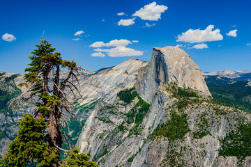 half dome with tree and clouds