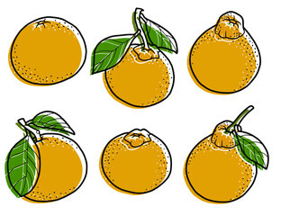 Vector illustration. Set of tangerines of different shapes. Tangerines with leaves and branches. Ripe citrus fruits. Hand drawing fruits.