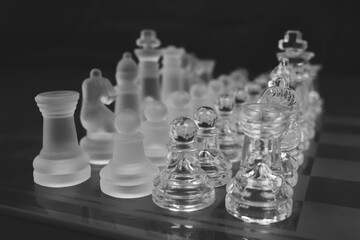 chess pieces on the board