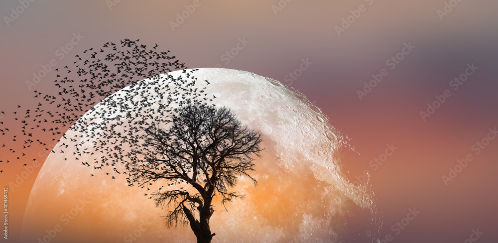 Poster lone dead tree with silhouette of birds flying, full moon rising in the background 