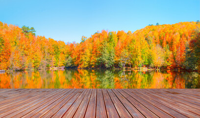 Naklejka na ściany i meble Fallen red and yellow leaves in autumn forest with wooden pier - Autumn landscape in (seven lakes) Yedigoller Park Bolu - Bolu, Turkey