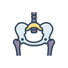Color illustration icon for hip