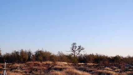 Autumn in the mountains and trees