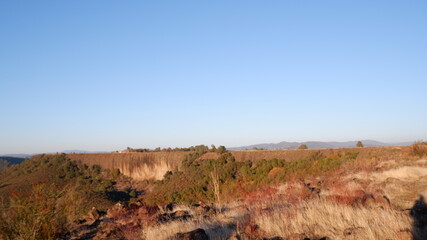 Autumn in the mountains and trees