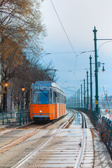 Obraz premium Yellow trams - Ground is covered with red fallen leaves in Budapest, Hungary