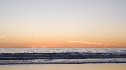 Obraz premium Sunset and ocean waves with birds