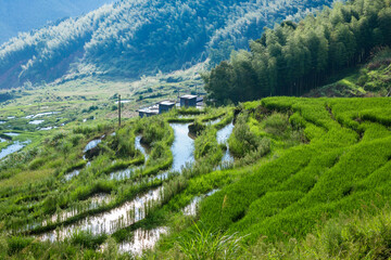 Fototapeta na wymiar Terraced Fields Scenery in Chinese Mountainous Countryside