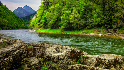 spring on the Dunajec River in the Pieniny Mountains in southern Poland