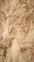 fosil stone leaf