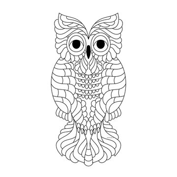 Hand drawn owl bird. Coloring book page or adult and kids. Vector black and white illustration.