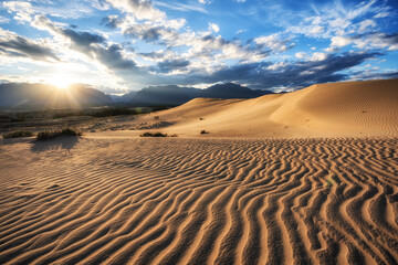 Chara dunes, desert vegetation, people and mountains in the background