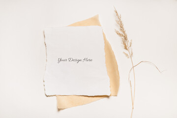 Blank Torned Paper Frame on white background with dried grass