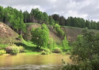 Trees on the Bank of the river Inya