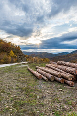 street view of the forest  with fall colours near tsepelovo village 
 zagori epirus greece