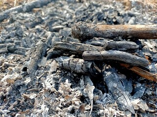 Bruning wood coal and ash