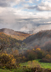 Street view of the forest  with fall colours near aspraggeloi village 
 zagori epirus greece