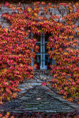 Fototapeta na wymiar view of traditional architecture with 2 bottles standing in a window of a stone building covered with red leaves during fall season in the picturesque village of papigo , zagori Greece