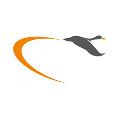 Goose logo design template vector illustration